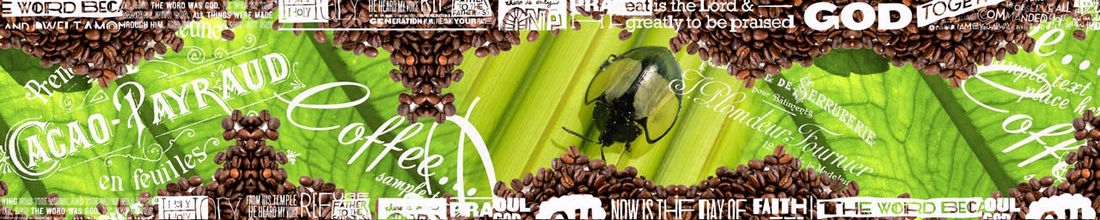 skinali 0597